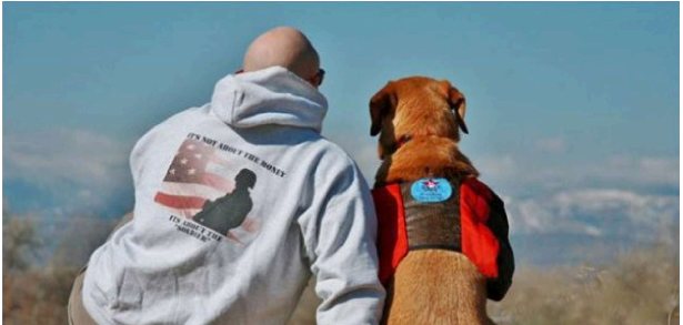 A veteran sitting beside his Freedom Service Dog