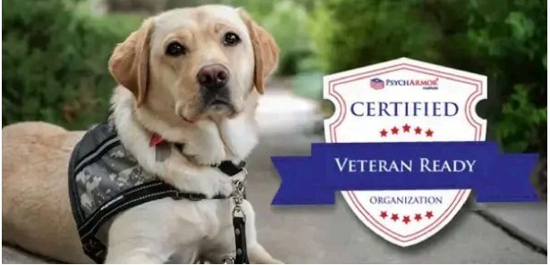 A Freedom Service Dogs service dog
